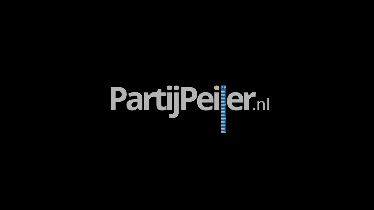 partijpeiler.nl